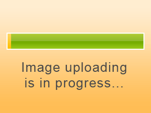 لكزس NX 2024 for Sale in الشارقة Image-4